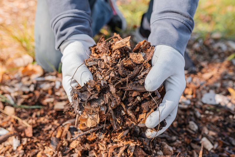 Cedar Mulch Installation in Honolulu, HI